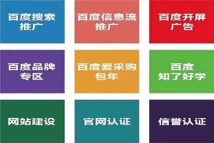 百度SEO推广的五大成功企业案例